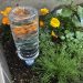 キャン★ドゥで購入した自動給水ノズルを使って留守中に植物に水やりができるかを検証